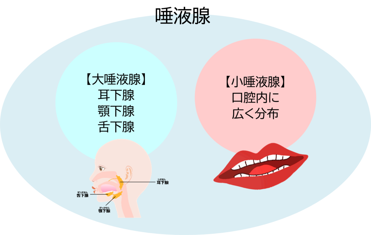 生検後のフォローアップ